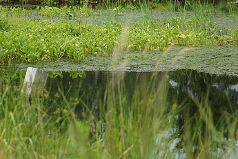 коттеджный поселок Карасаари во Всеволожскои районе коттеджный поселок Карасаари во Всеволожскои районе
