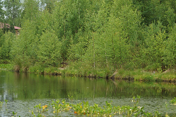 коттеджный поселок Карасаари во Всеволожскои районе коттеджный поселок Карасаари во Всеволожскои районе