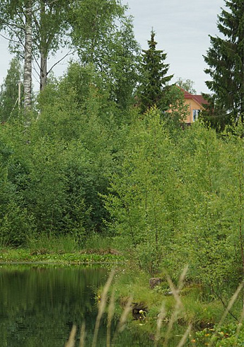 коттеджный поселок Карасаари во Всеволожскои районе коттеджный поселок Карасаари во Всеволожскои районе