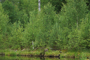 коттеджный поселок Карасаари во Всеволожскои районе коттеджный поселок Карасаари во Всеволожскои районе