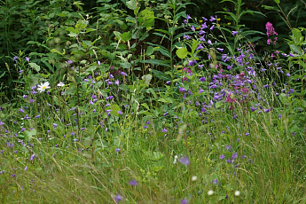 коттеджный поселок Карасаари во Всеволожскои районе коттеджный поселок Карасаари во Всеволожскои районе